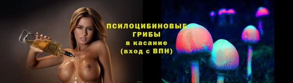 a pvp Саяногорск
