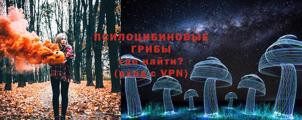 мяу мяу мука Волоколамск