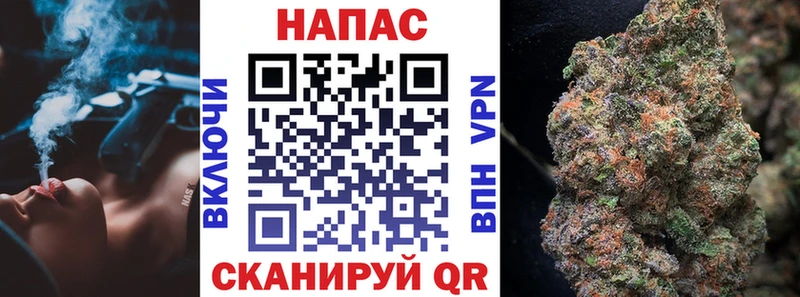 сколько стоит  Вытегра  Конопля Amnesia 